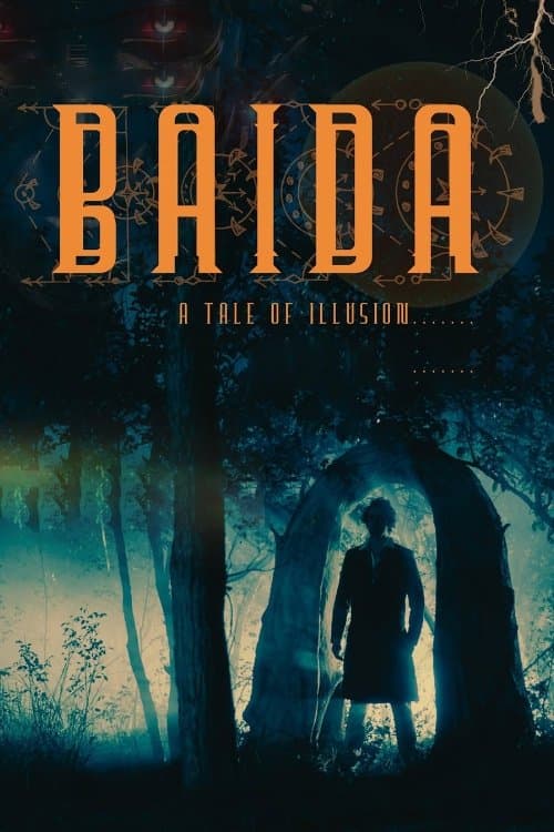 Poster of Baida